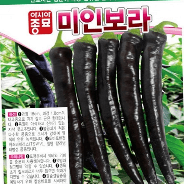 가정용 채소·고추 재배용 텃밭 종자 씨앗