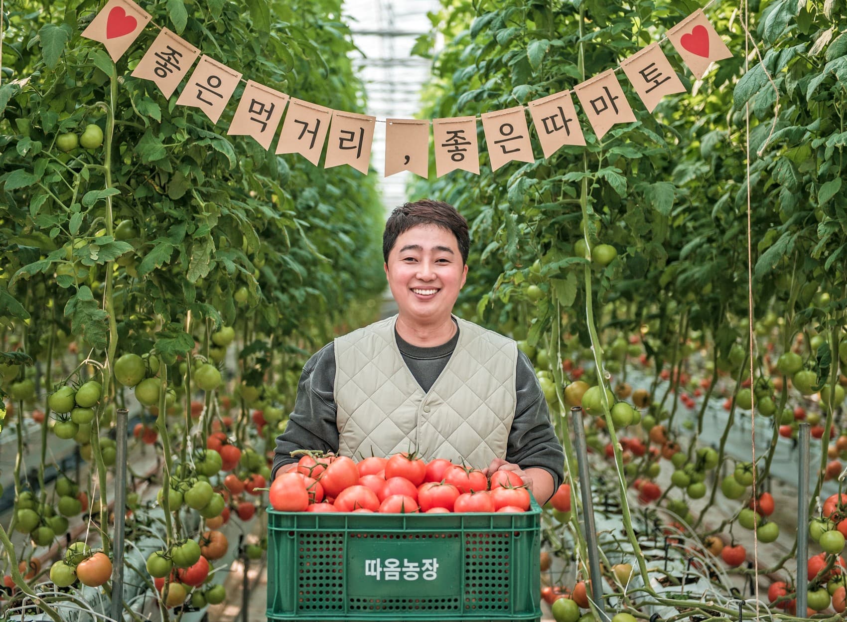 따옴농장 완숙토마토 유럽종 찰토마토 2.5kg 쥬스용 못난이 빨간 토마토 제품 이미지