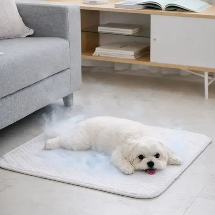 크리벨 크라이오넥스 강아지 고양이 반려동물 쿨매트 소중형 — 일반적인 평판형 쿨매트의 형태 예시